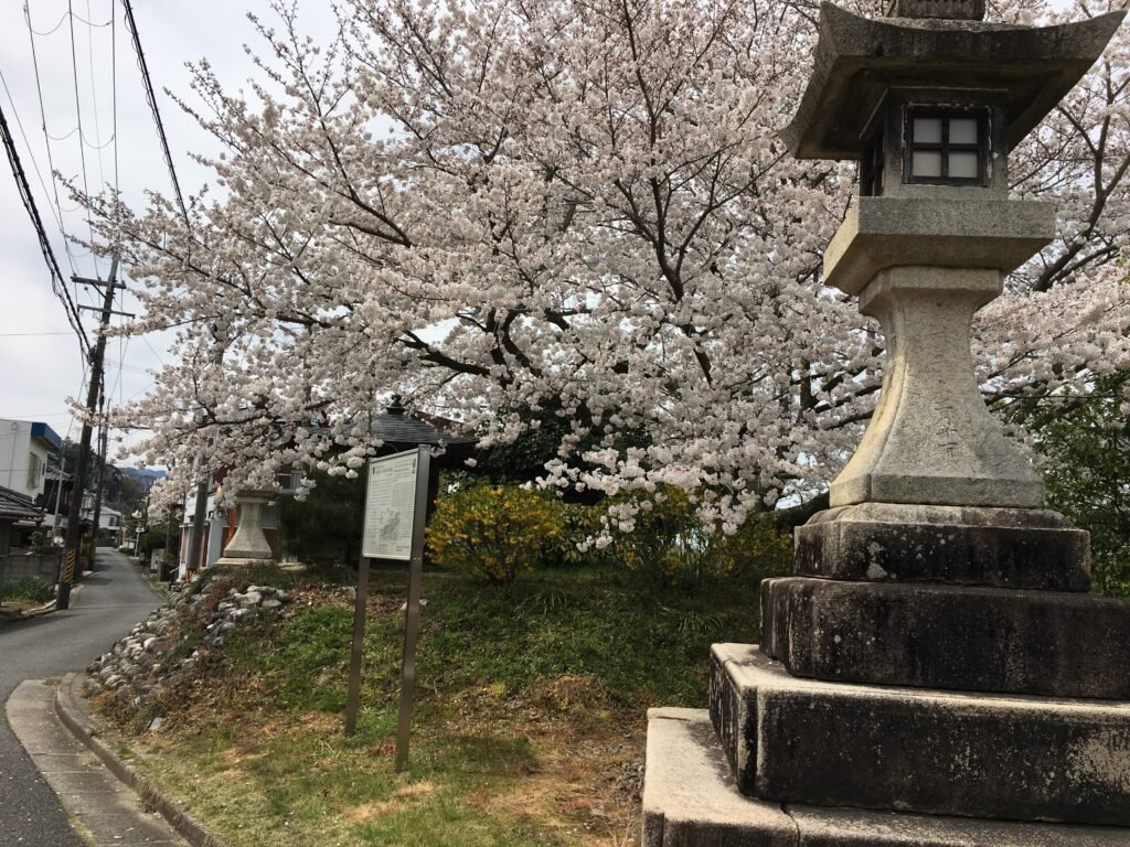 Stone lantern marking the historic Tōge boat landing in Hashimoto.
