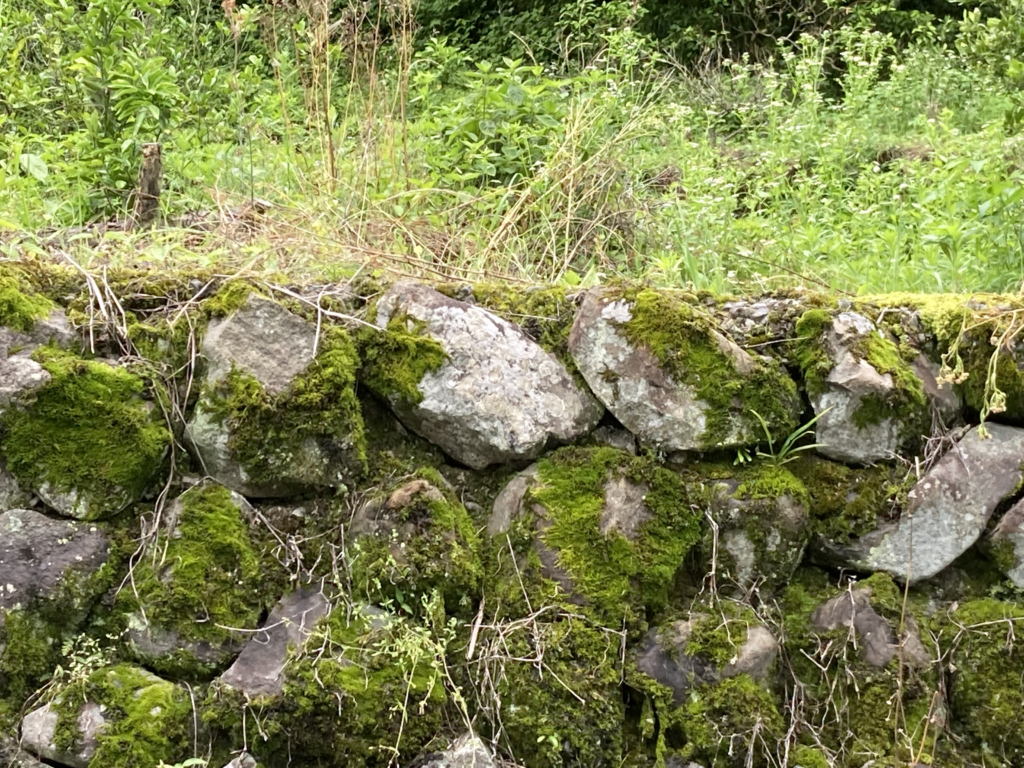 Stone walls in the alleys of Kii-Shimizu