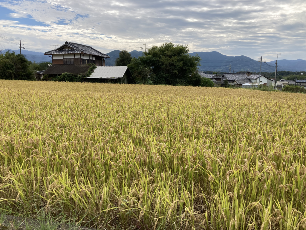 Evening view across the fields and mountains of Hashimoto.
